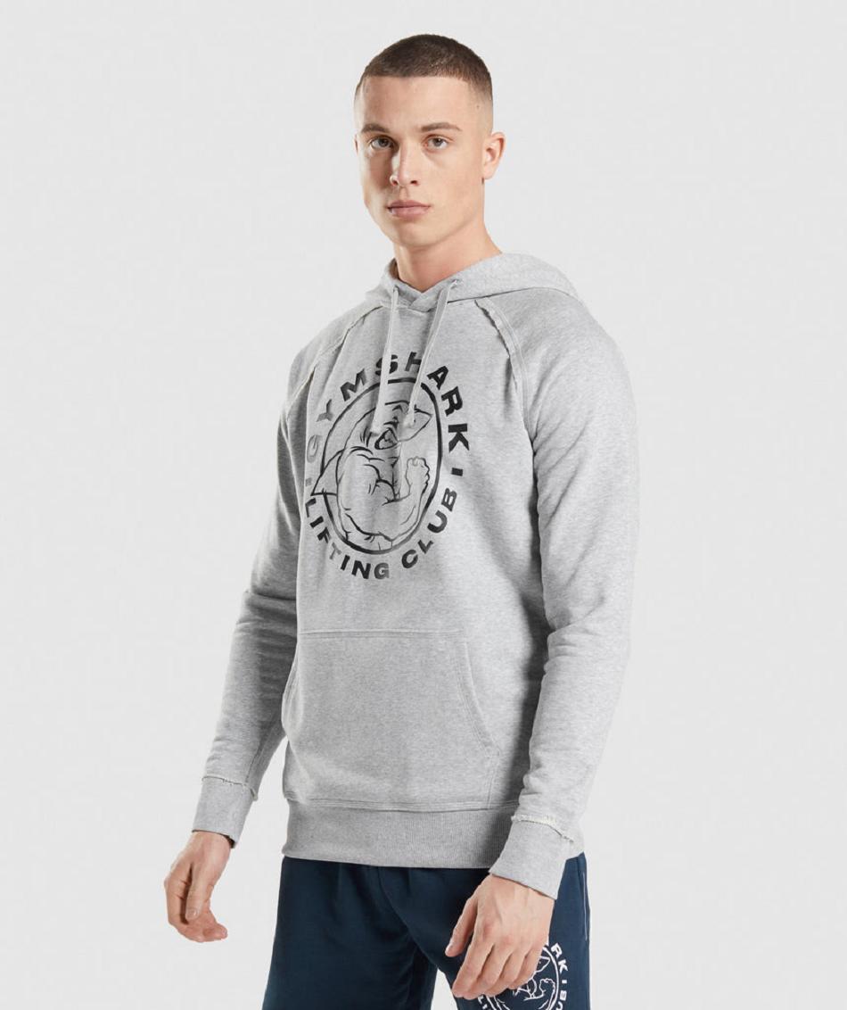 Bluzy Z Kapturem Męskie Gymshark Legacy Głęboka Szare | PL 3589GSO